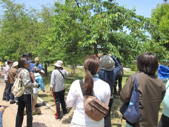 大阪を歩く会ｉｎ長居公園開催