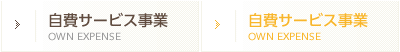 自費サービス事業